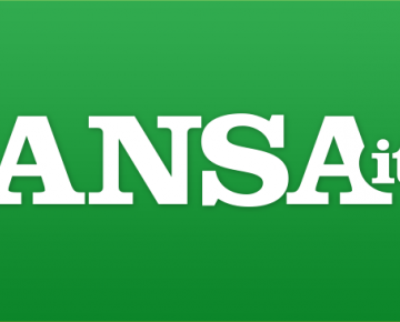 Ansa