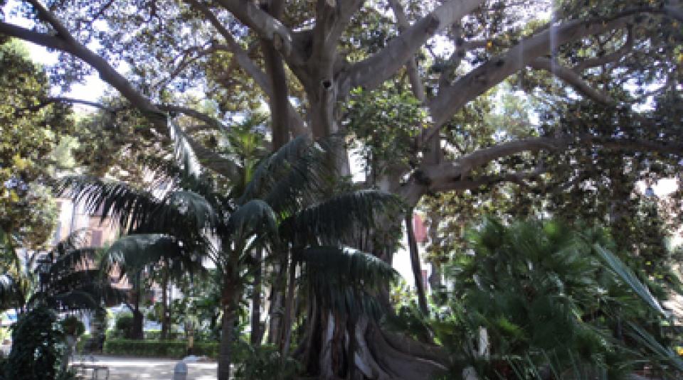 Giornata Europea del Patrimonio